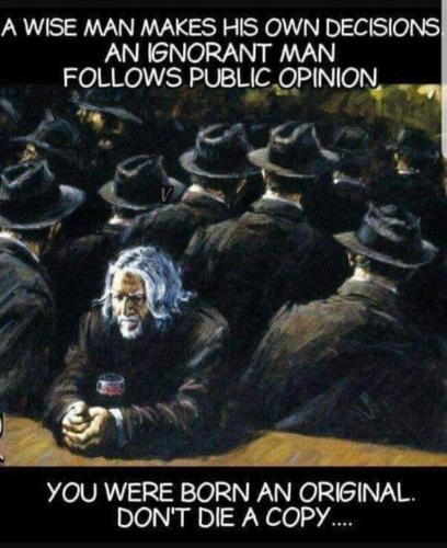 FB_IMG_1646305195786