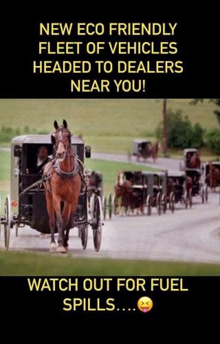 FB_IMG_1647526259405