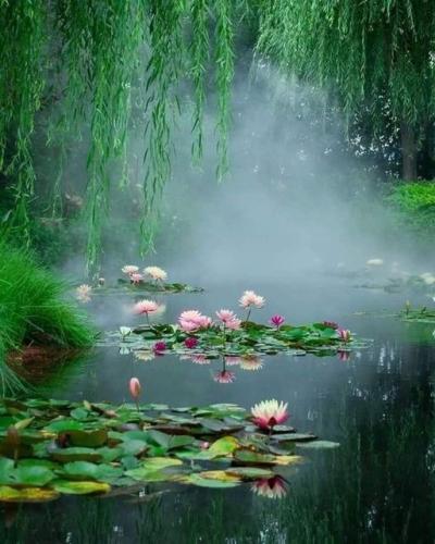 277248908_10224111108317878_832582474558540271_n