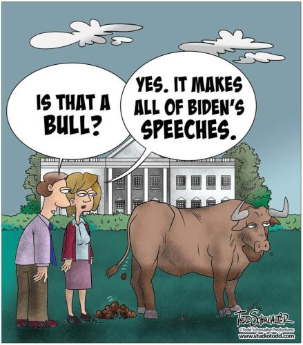 FB_IMG_1646976336508