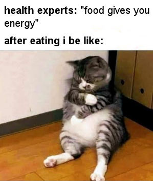 food gives you energy