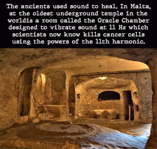 Screenshot_2022-03-22-02-37-42_kindlephoto-25346735