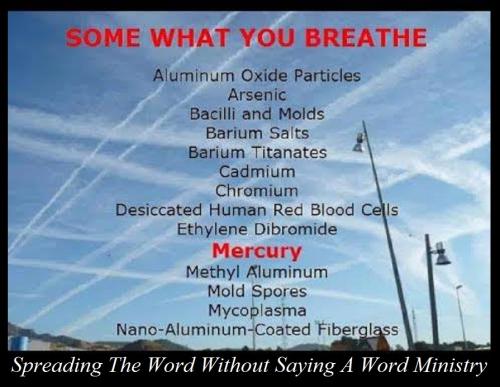 57131085_2269982346417217_2175492426817339392_n