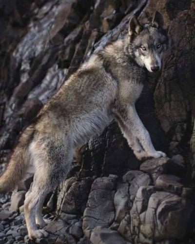 18:40:34 GMT-0600 (CST)