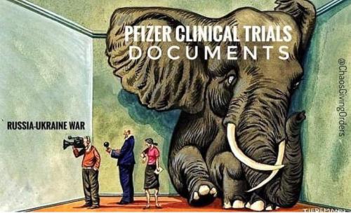 Screenshot_2022-03-03-13-34-36-83_a23b203fd3aafc6dcb84e438dda678b6