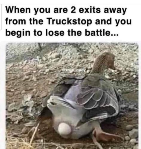 FB_IMG_1646673307716