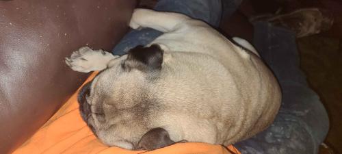 856038f4-afa4-417b-8814-fb0680866d98