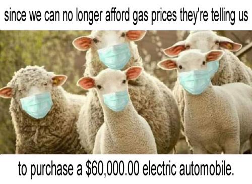 gas prices80