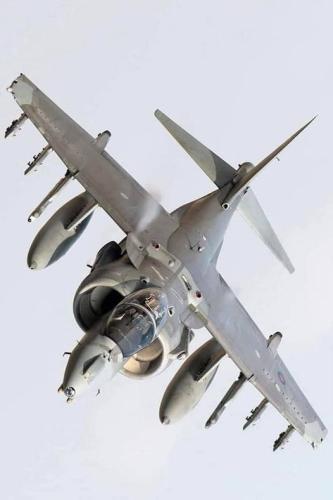 274721740_510031110550970_5860618915773191783_n