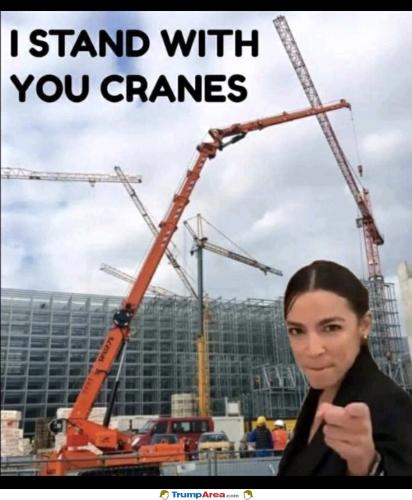 i-stand-with-cranes