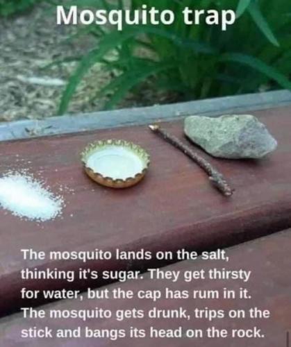 276025065_3290200854634731_7078593917935534871_n