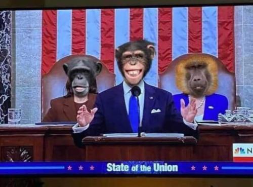 FB_IMG_1646403901585