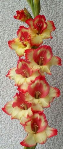 21:17:35 GMT-0500 (CDT)