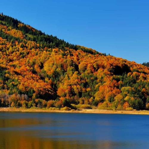 diamond1_michael~p~CHU0UUan_Ny~3