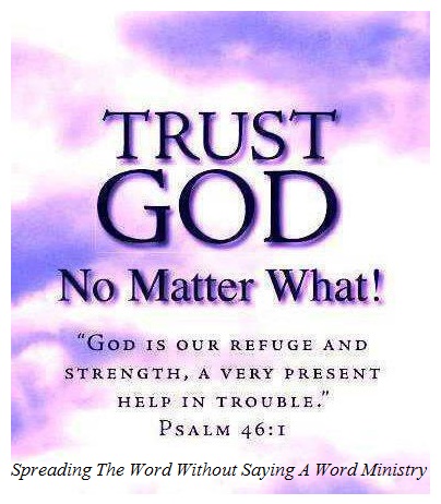 538599_308926559206482_489382114_n