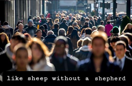 Screenshot_20220305-070915_DuckDuckGo