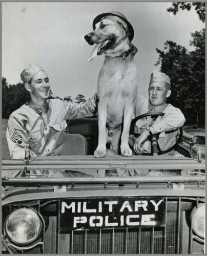 275385330_328696185948462_3552033318894697373_n