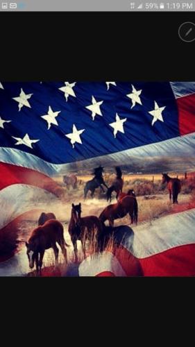 20:53:45 GMT-0600 (CST)