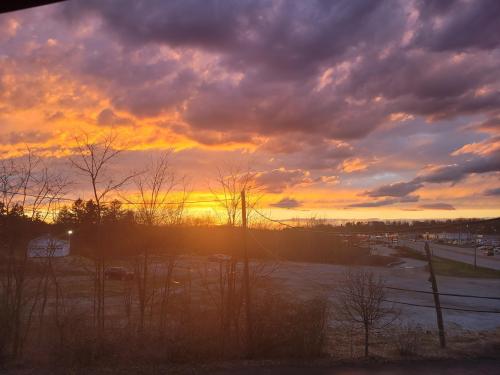 4b8f66e2-5608-45b9-9b3a-da51bf2409b0