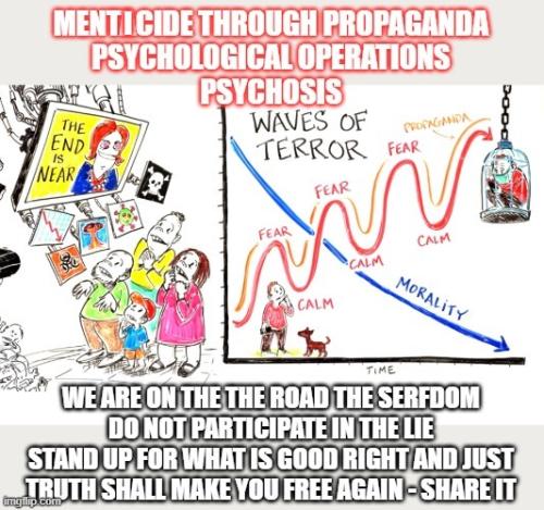 Totalitarian Menticide 2