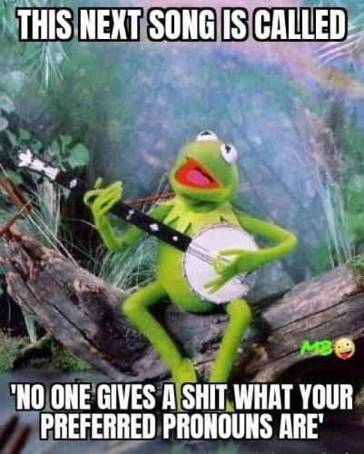 275250610_332954655543121_8639158330705631694_n