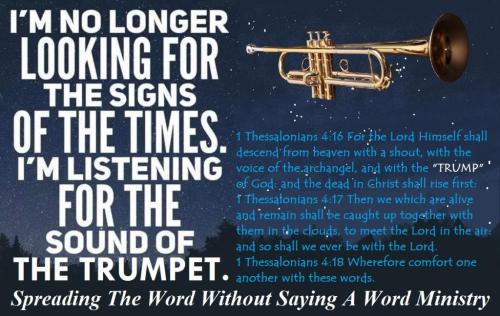 130766143_1617143958458500_4136100114585225866_n