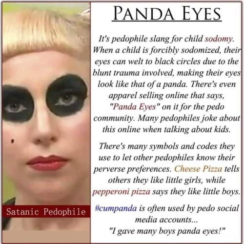 Panda Eyes 1