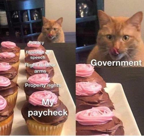 FB_IMG_1647894391819