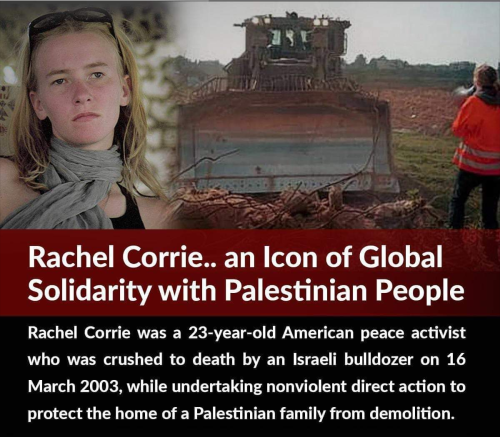 Screenshot_2022-02-08-04-20-57_kindlephoto-7510301570