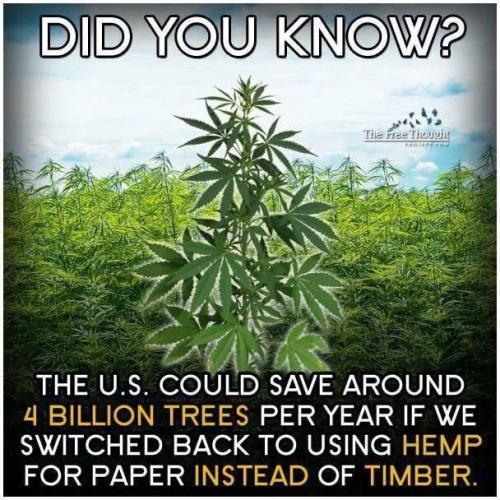 IMG_20220322_151400_736