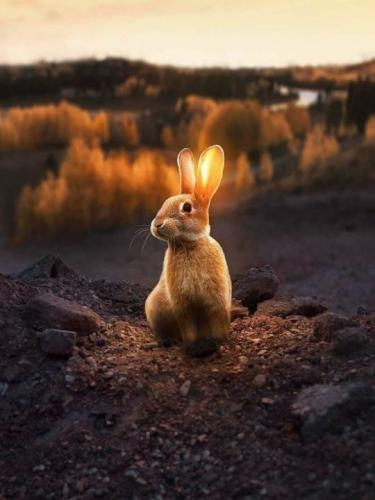 tumblr_54ae1946d547bd78e792379aaa685dc3_1a4c1d84_540