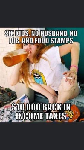 FB_IMG_1646261130349