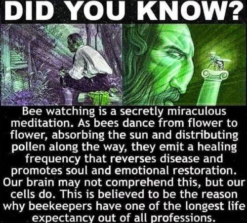 ,                                                                                                                                                                                                                          0 8