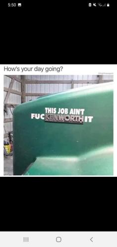 FB_IMG_1647273719118
