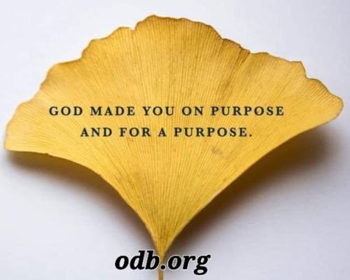 01:43:19 GMT-0700 (PDT)