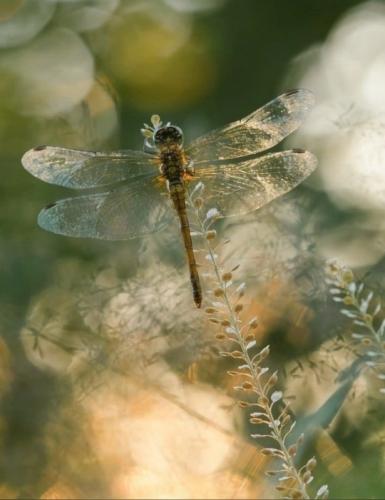 tumblr_e735ba0bcd7509b2c0c9ef82464f2553_a602d959_540