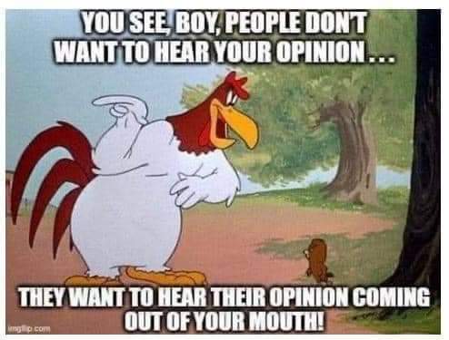 FB_IMG_1647935382713