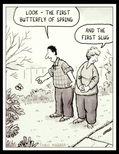 ZomboMeme 18032022122620