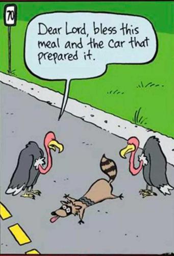 d0a3ee11-85d1-4025-8c97-50e97c36ada5