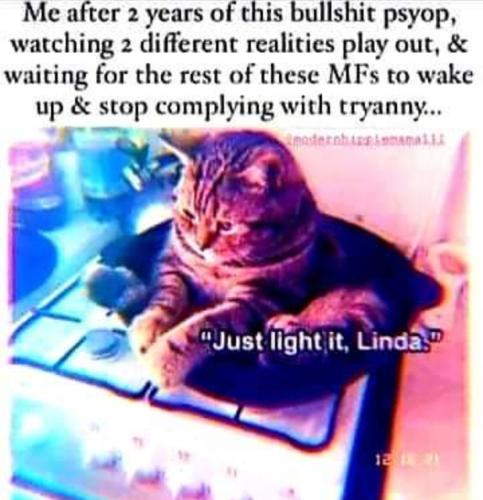 Screenshot_2022-03-23-03-46-20-79_a23b203fd3aafc6dcb84e438dda678b6