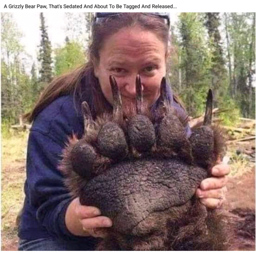 Screenshot_2022-03-22-02-42-05_kindlephoto-25051430