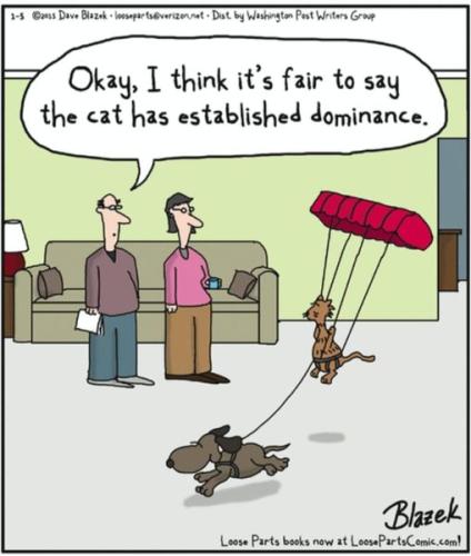 275288303_964213804230924_1412440213156712340_n