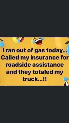 FB_IMG_1647631529272