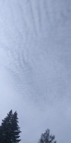 received_1563764190660338