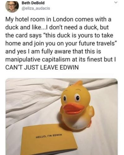 00:25:45 GMT-0500 (CDT).image