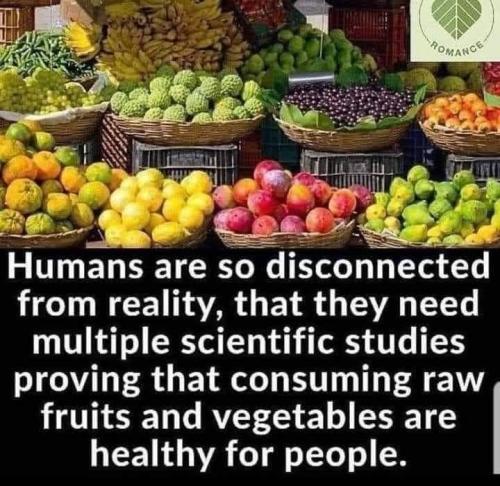 d81ff9a0-0ec0-4ba3-bac0-329b97bc5737