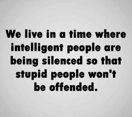 FB_IMG_1647456985639