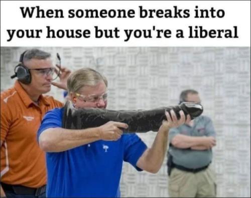 liberals281