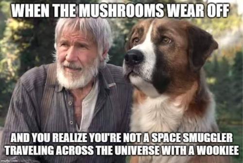 FB_IMG_1647711580617