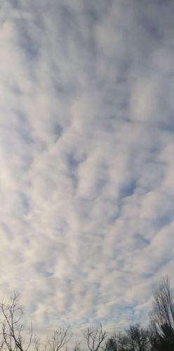 3a01e236-467f-446d-bfa1-dbc29e279697